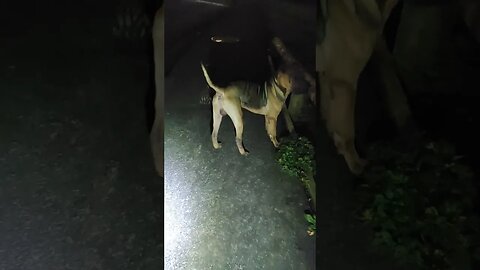 Hash House Harriers check