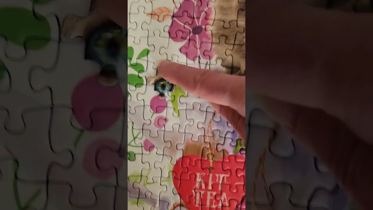 How about a kitty puzzle! #kitten #puzzle #shorts #jigsawpuzzle