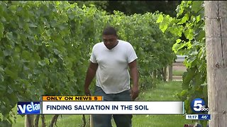 A winery in Cleveland is changing the neighborhood of Hough
