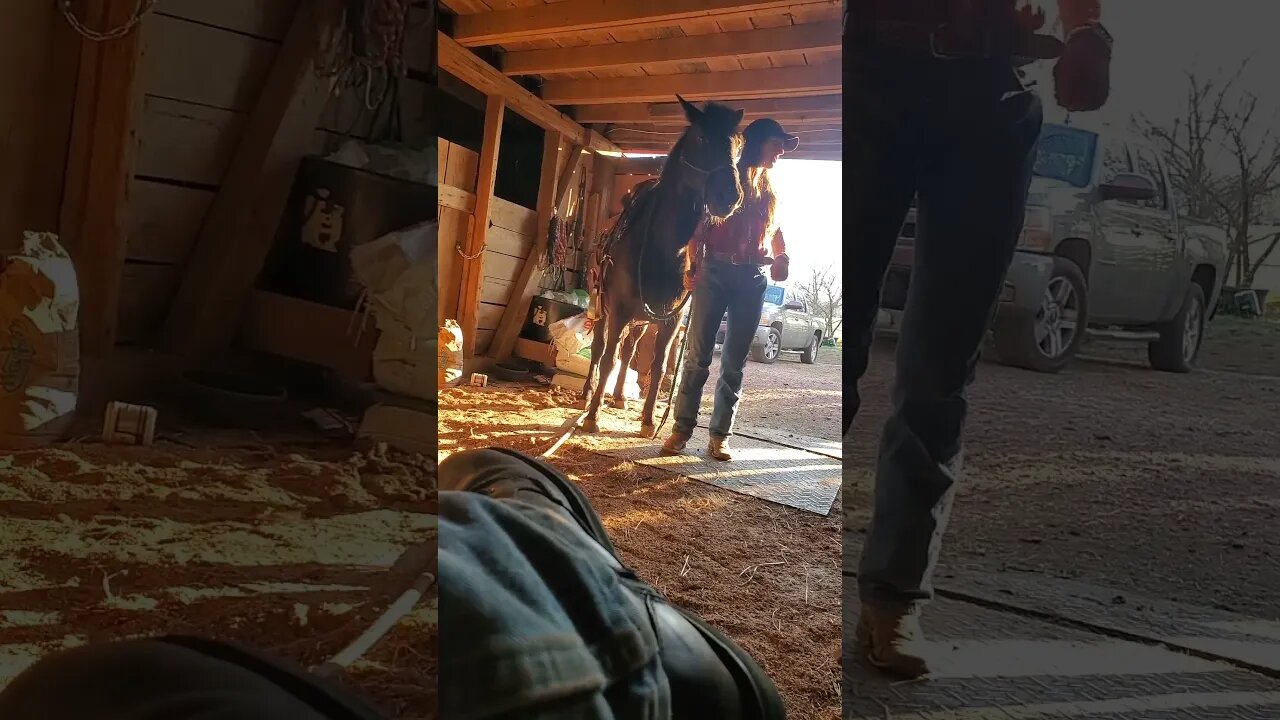 Just sitting in the horse barn relaxing #horse #barn #relax #fun #today