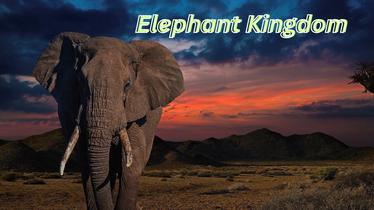 Elephant Kingdom