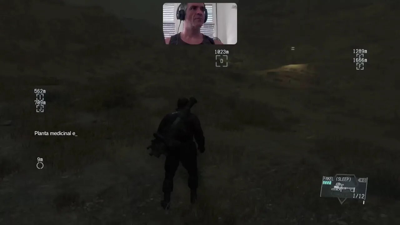 Live dos cria hora do almoço