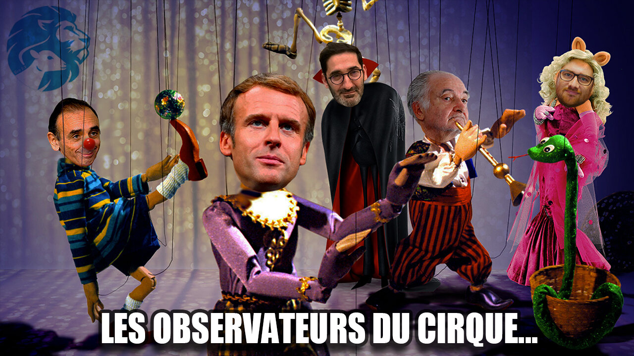 Les Observateurs du Cirque !