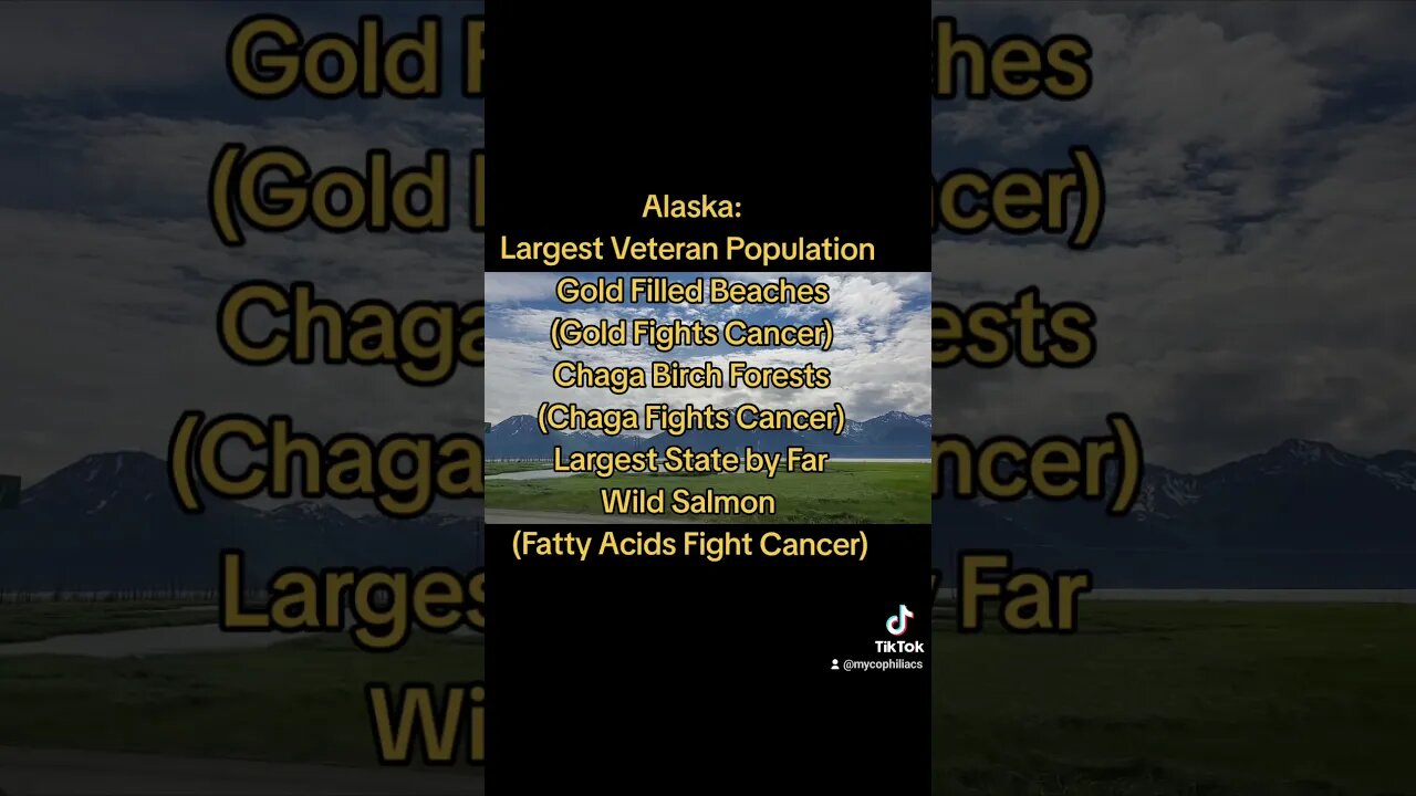 So Many - Alaska It Is #joerogan #food #mycophile