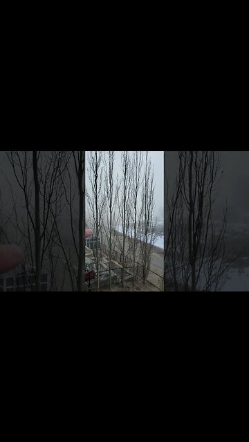 HEAVY FOG WOW HAVE YOU SEEN FOG THIS THICK? #FOG #THICK #BLIND