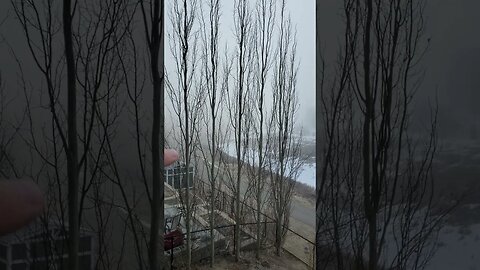 HEAVY FOG WOW HAVE YOU SEEN FOG THIS THICK? #FOG #THICK #BLIND