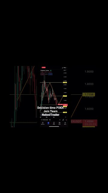 Polkadex decision time PDEX #polkadex #pdex #shorts