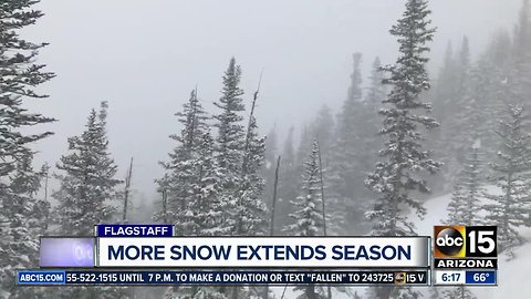 Snow kicks off the first day of Spring in northern Arizona