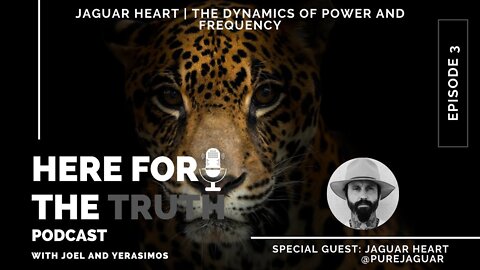 Episode 3 - Jaguar Heart | The Dynamics Of Power And Frequency