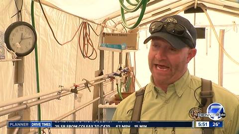 Annual Walleye fish spawning operation begins at Chatfield State Park