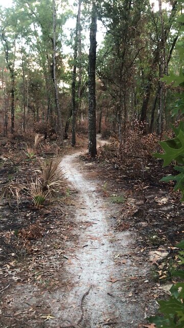 I Will Be With You Again