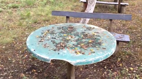 footage for tracking