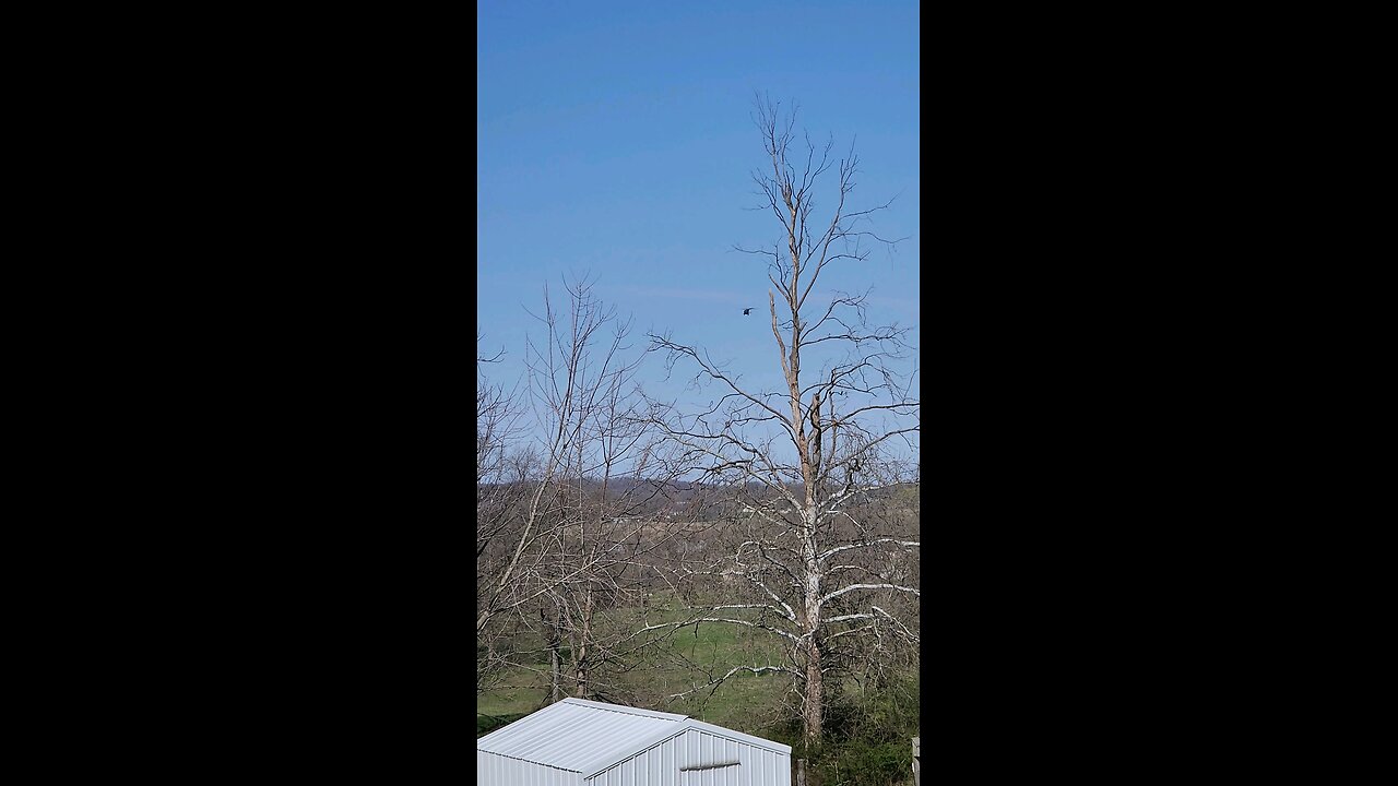 Blackhawk fly over