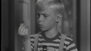 Dennis The Menace - Dennis and the Signpost