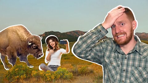 Why Tourists Are ALL Idiots