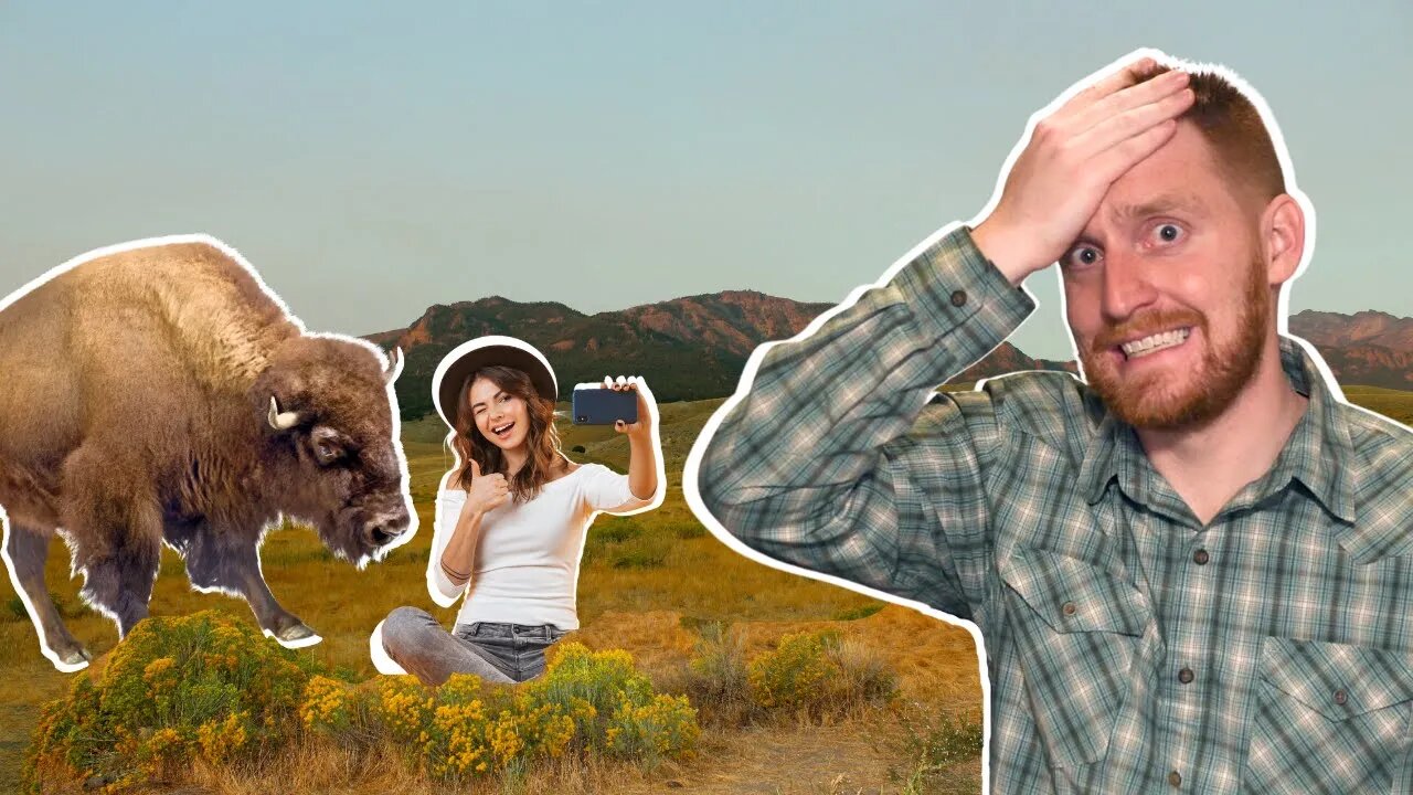 Why Tourists Are ALL Idiots