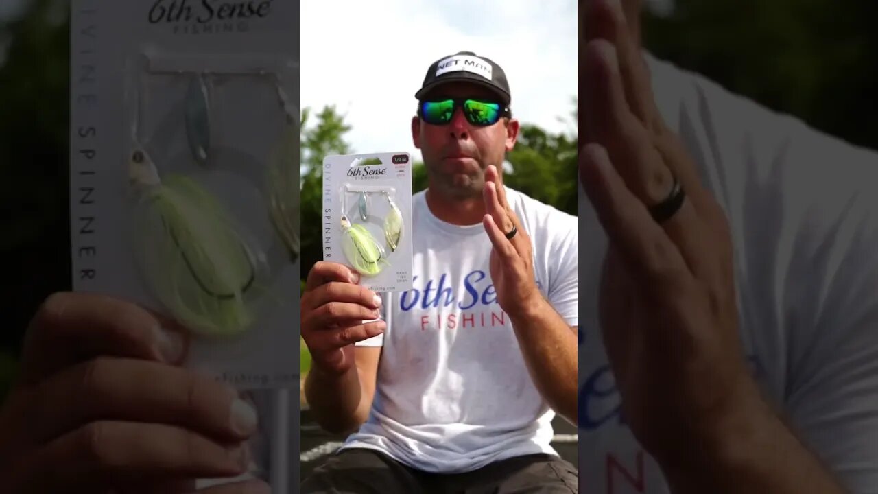 The Divine Spinnerbait is Here!