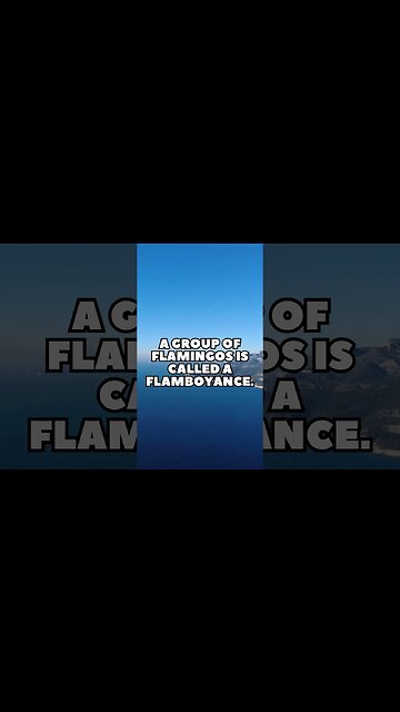 Incredible Random Facts That Will Expand Your Mind! [2023] #shorts #facts #viralshorts #fyp #life