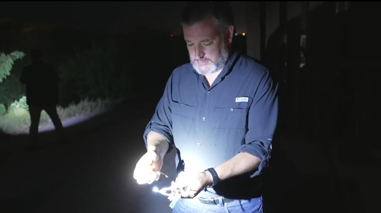 Sen Cruz Reveals The Horrific Reason Why Illegals Are Wearing Wristbands