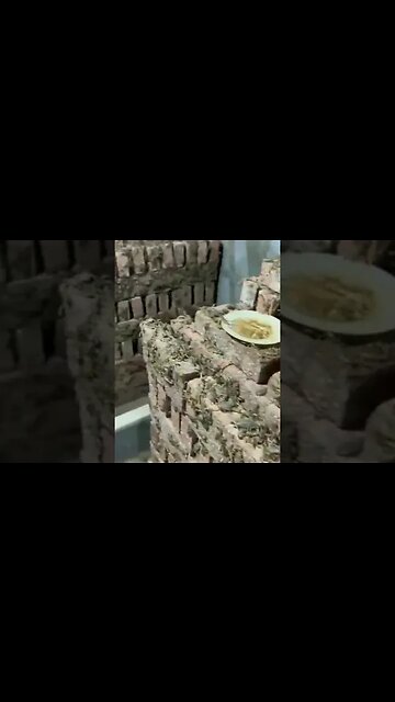 Scorpion farm for extracting their venom | scorpion hi scorpion | dont be afraid