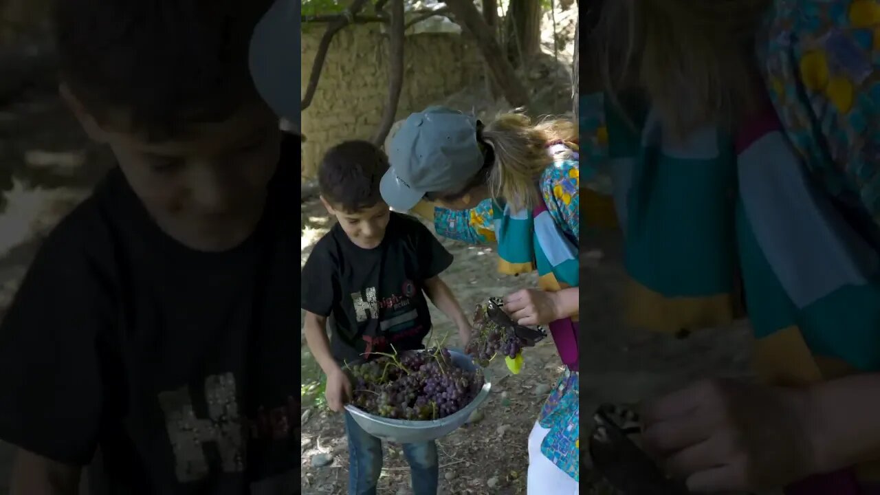 A kid climbed a tree for us in Pakistan