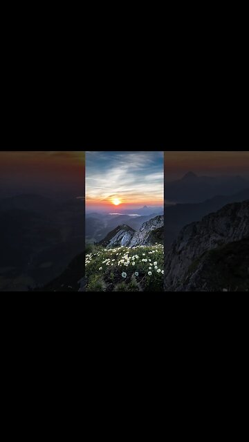 "Serene Serenades: Unwinding with Blissful Daily Meditation & Relaxation Music 🧘‍♂️"