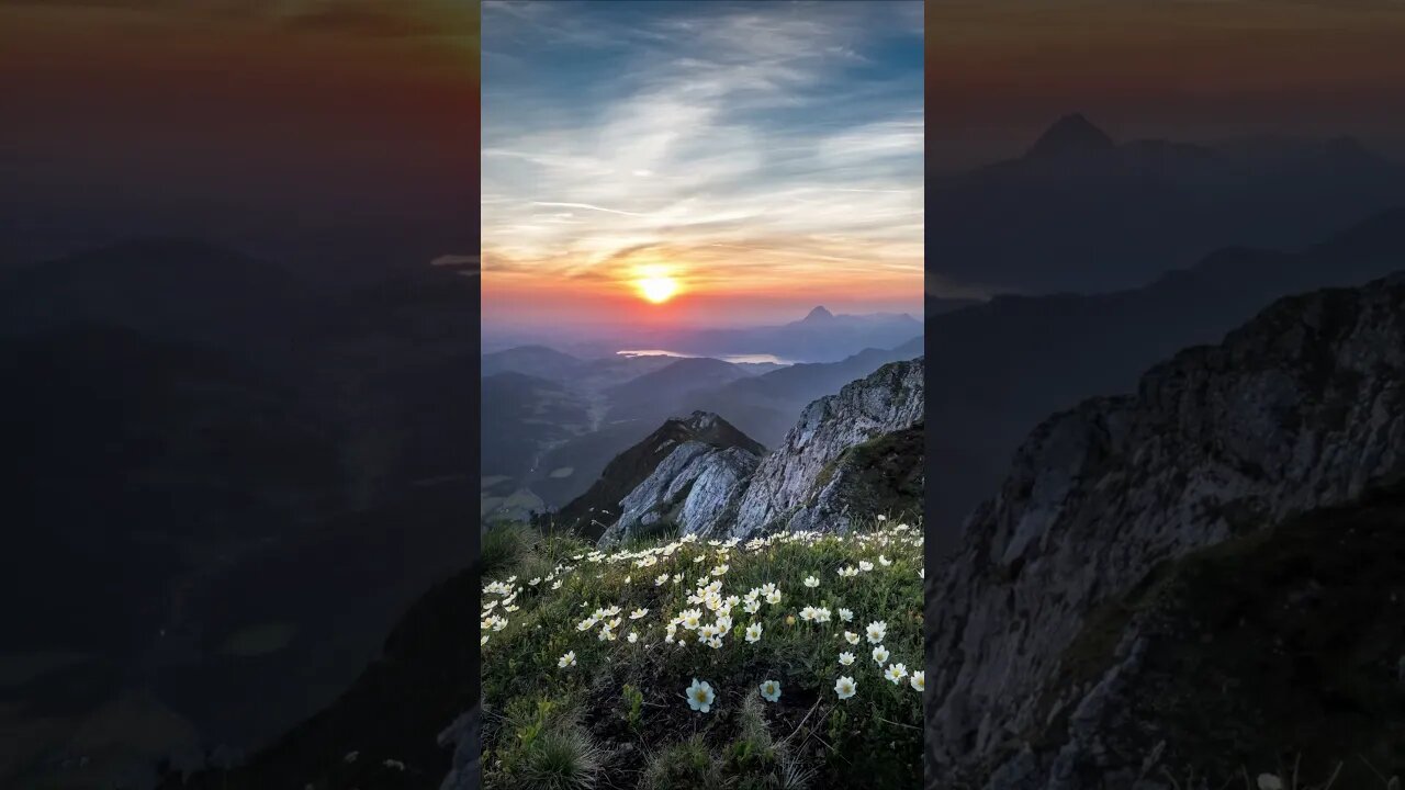 "Serene Serenades: Unwinding with Blissful Daily Meditation & Relaxation Music 🧘‍♂️"