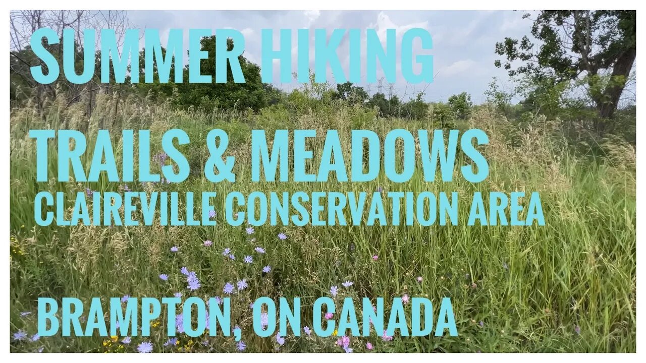 Summer Wildflowers & Meadows| Claireville Conservation Area | Brampton, ON 🇨🇦|Hiking Vlog |Relive