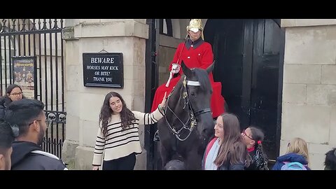 Get back horse going back in St Patrick's day celebrations #horseguardsparade