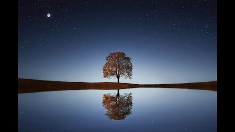 Relaxing Piano Music: Romantic Music, Beautiful Relaxing Music, Sleep Music, Stress Relief