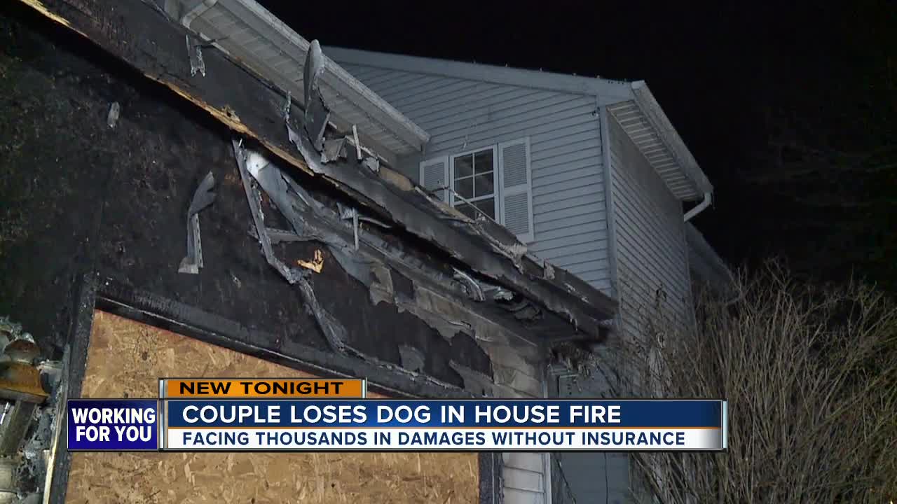 Abingdon family forced out of home in fire that killed dog