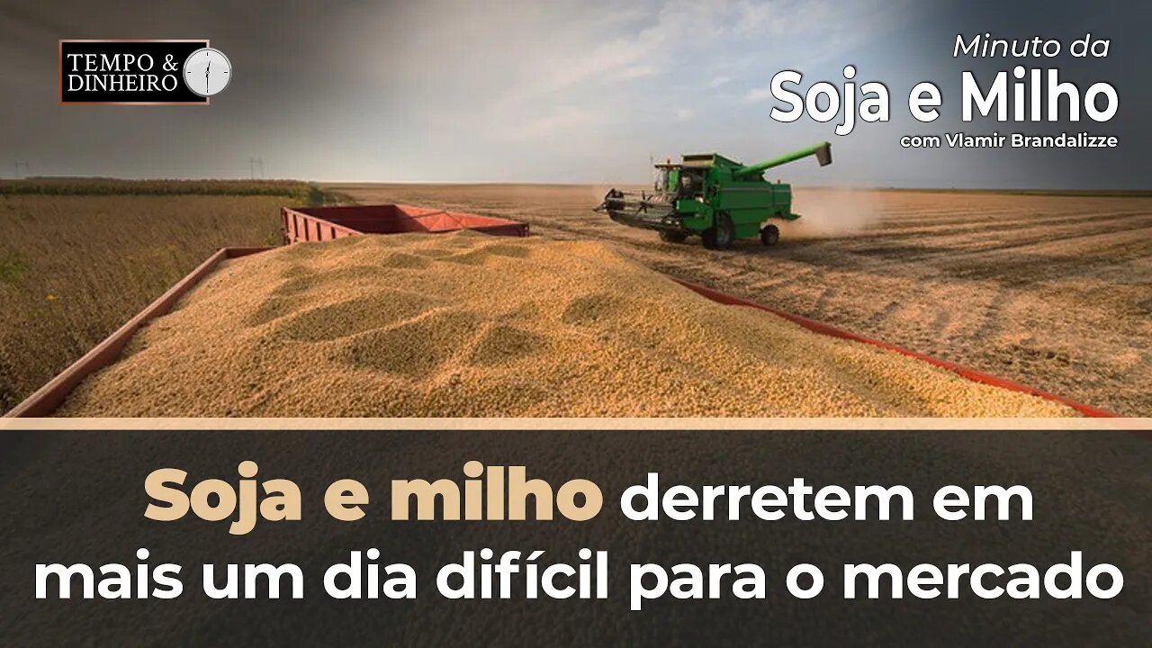 Soja e milho derretem em mais um dia difícil para o mercado. Brandalize comenta