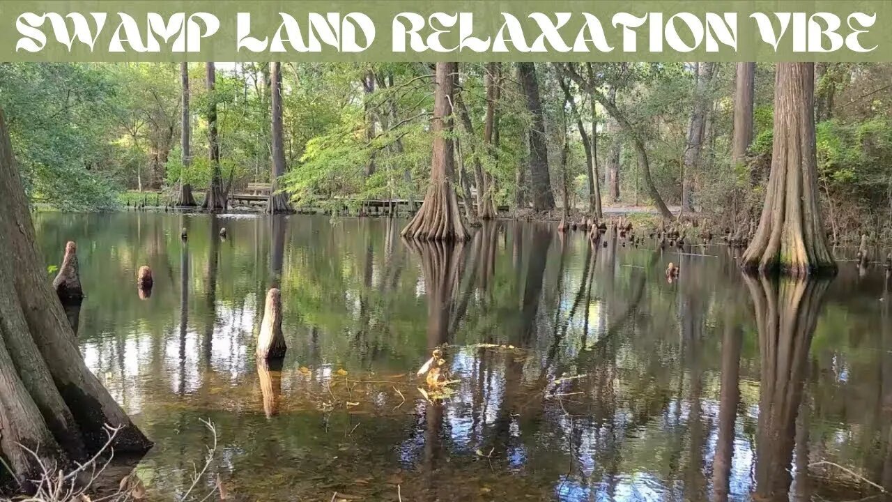 Relaxing Music / Swamp Land Vibe / Country Living Environment