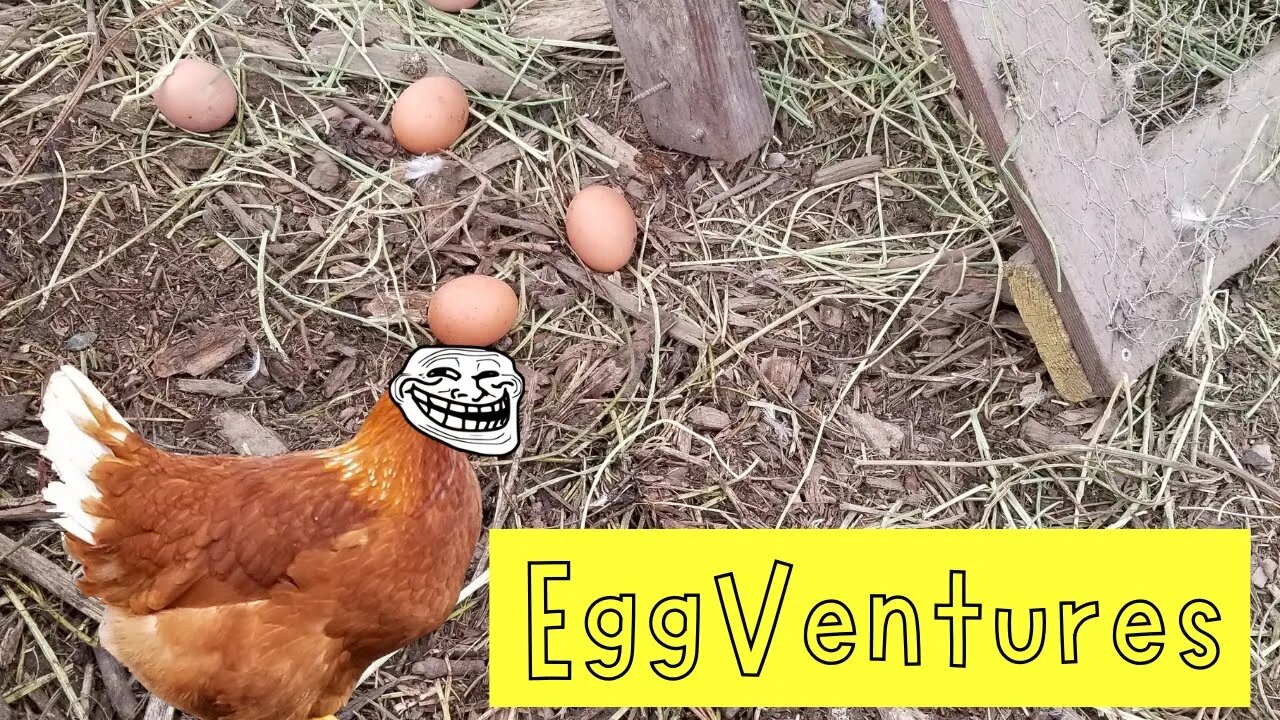 EggVentures - The hunt for the missing eggs....