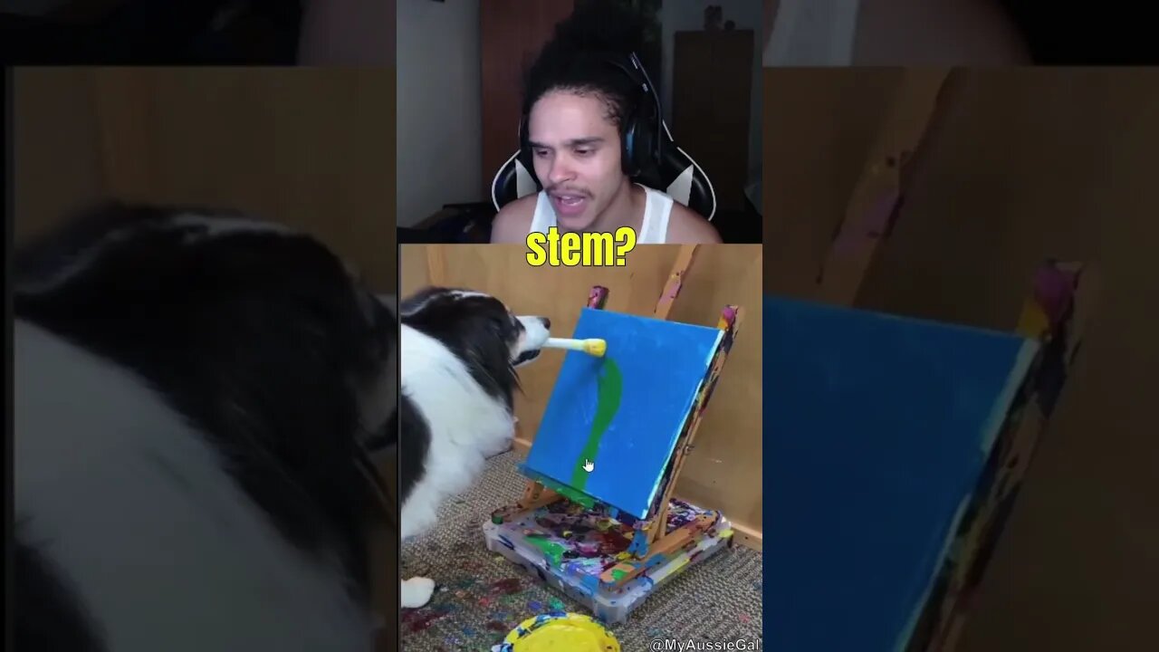 SMARTEST DOG EVER😱 #shorts