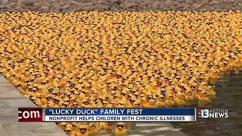 Lucky Duck family fest raises money for nonprofit