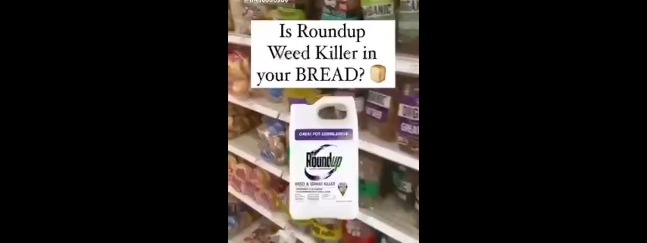 ? / Toxins In Bread / You Decide