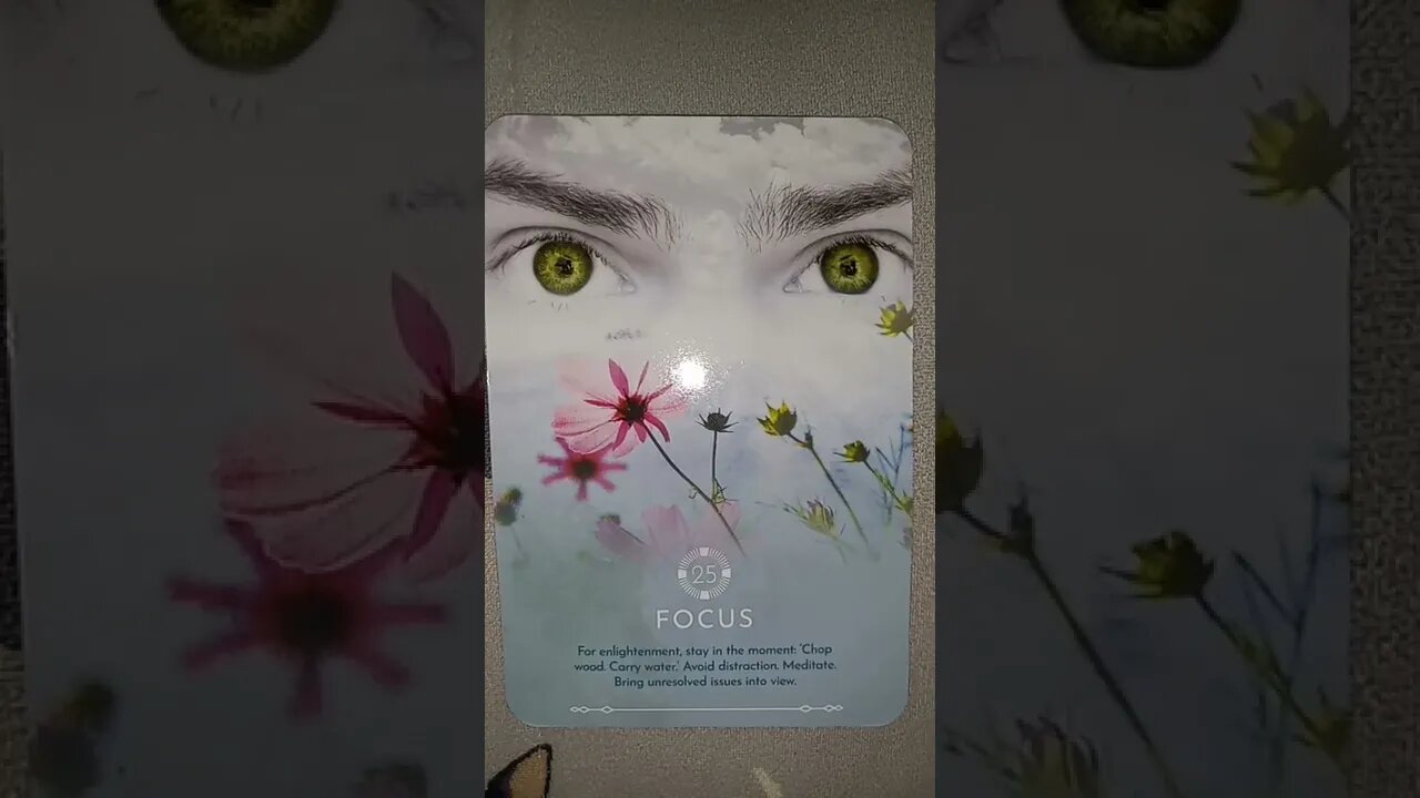 Focus