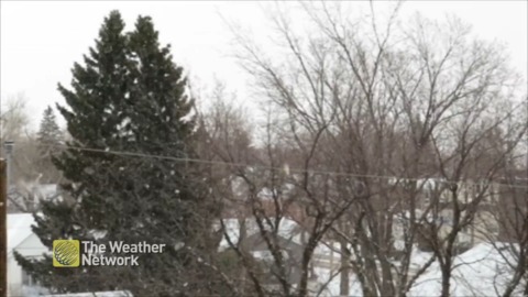 Skies are only white on a snowy day in Weyburn, SK