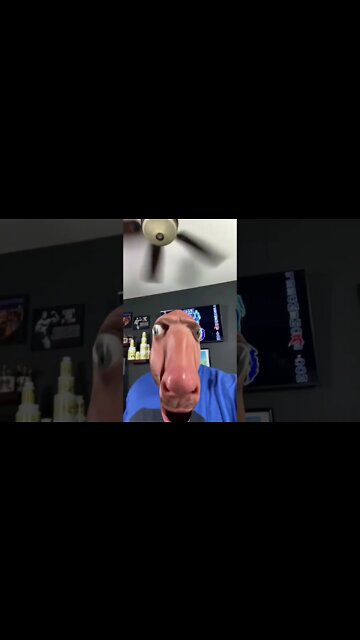 Stop Horsing Around!