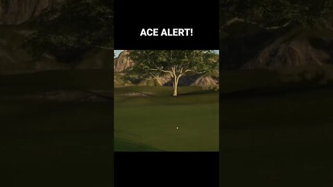 ACE ALERT!!! PGA Tour 2K21 Gameplay - Hole in One