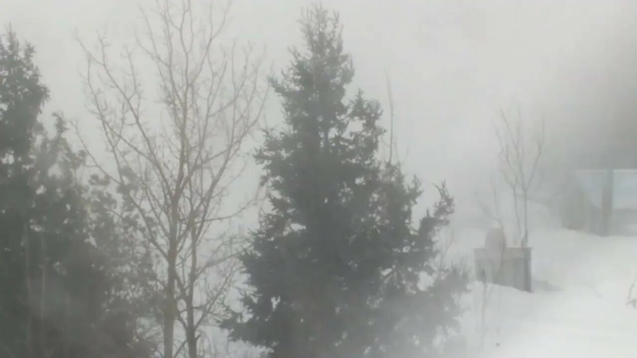 Short Clips of the East Coast Nor'Easter