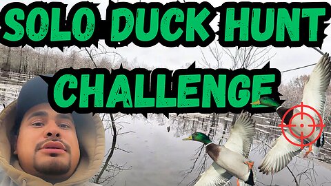 Solo Duck Hunt Challenge 