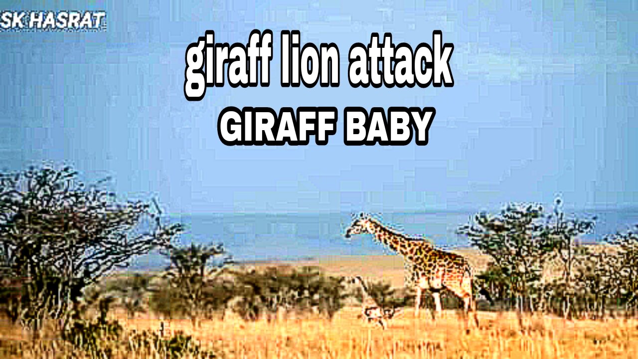 Awesome....Mother giraffe brave attack hyenas and lion