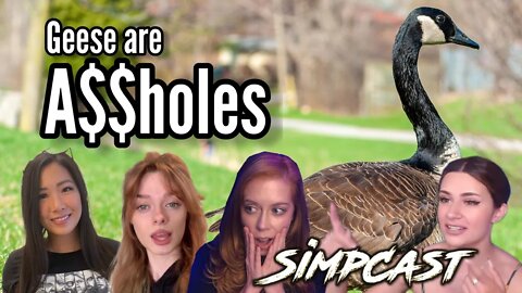 Geese are A$$holes! SimpCast EXPLAINS! Chrissie Mayr, Carmaxlla, XRay Girl, Anna That Star Wars Girl