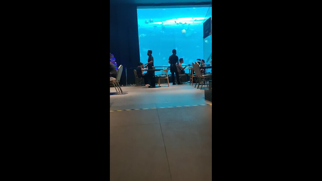 Ocean Park, Cebu City
