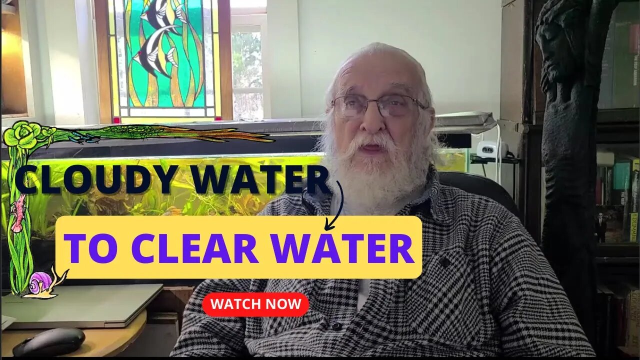 MASTER REPAIR FOR #CLOUDY WATER - TOP 3 TYPES AND SIMPLE SOLUTIONS
