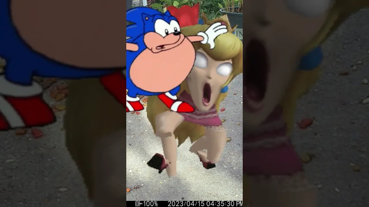 Zombie Princess Peach Vs Fat Sonic #Shorts 😎
