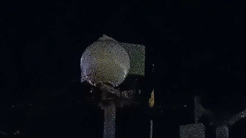 all the security measures they have put in for the Boston Marathon