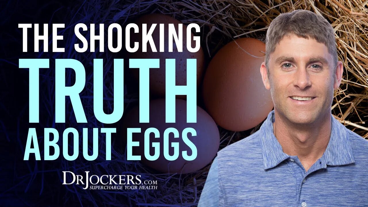 The SHOCKING TRUTH About Eggs YOU MUST KNOW (Dr. Jockers) 😳🥚 #shorts